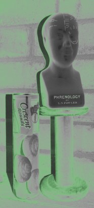 Tube rolls, the secret to any Green Bay victory! It's SCIENCE!