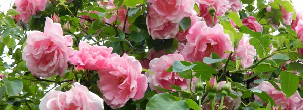 Sign the card, truth in flower giving is important