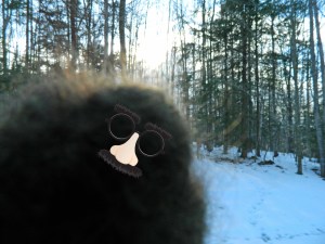 I wonder if perhaps Bigfoot is a master of disguise? (yes I joke around like this with the club)