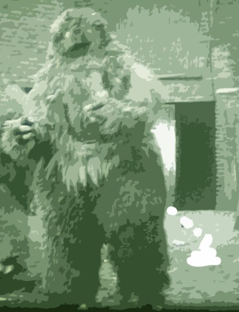If Bigfoot is a real creature, he poops.  Our job, to collect that poop with as little contamination as possible!