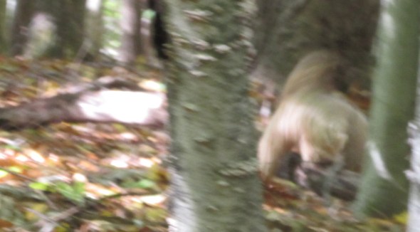 where is the head or is that the head?  