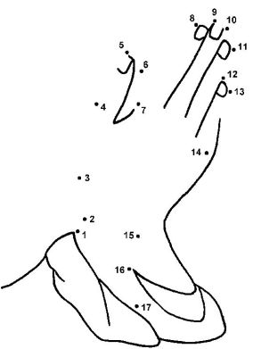 the connection between religion and hatred is well established.  