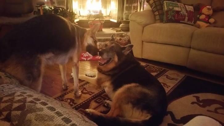 Nothing like being near the warm fire with your best buddy during the holidays!