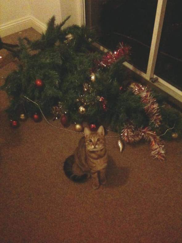 Obviously, poltergeists! 