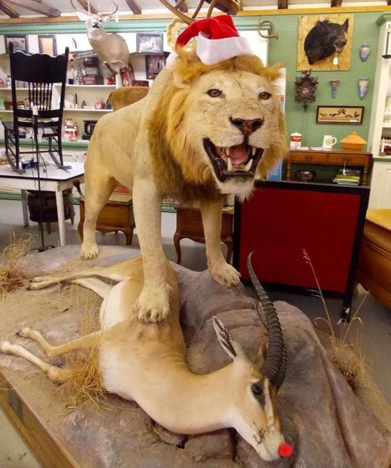 1378586_10208741450041577_8933824427140856090_n