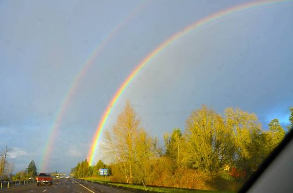 940970_921626497932916_6085759279055947477_n