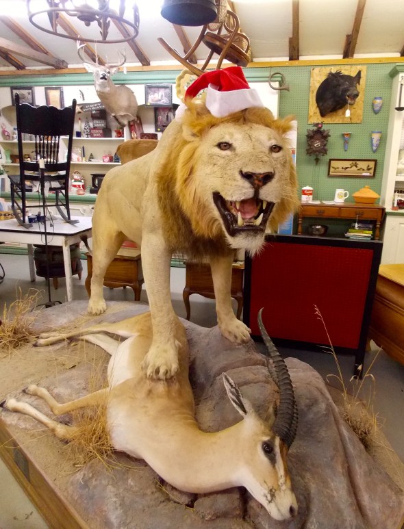 Still looking for that perfect gift for the dentist that has everything? This store in NH has you covered!