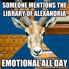 42b95b7d50673091db8b214b7170ec86