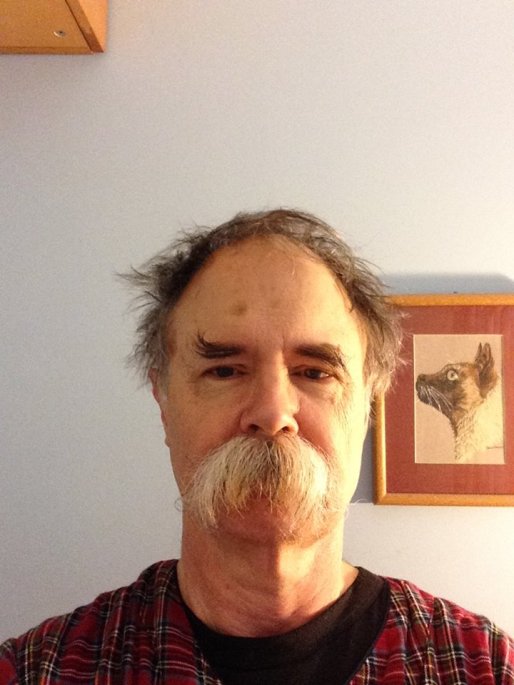 13241368_10208367513959197_3793499004626506831_n