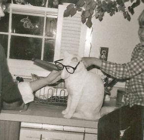 251467_10150207569962421_844025_n