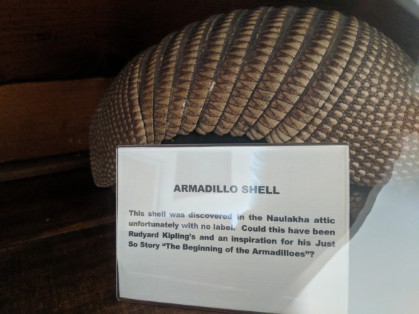 45862895041_08097c62a6_o