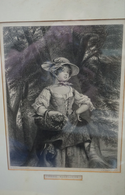 47631897161_bf97f6fd17_z