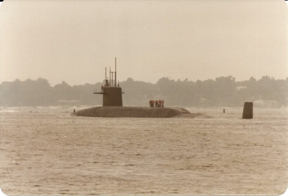 38005173104_2f88135ec7_o