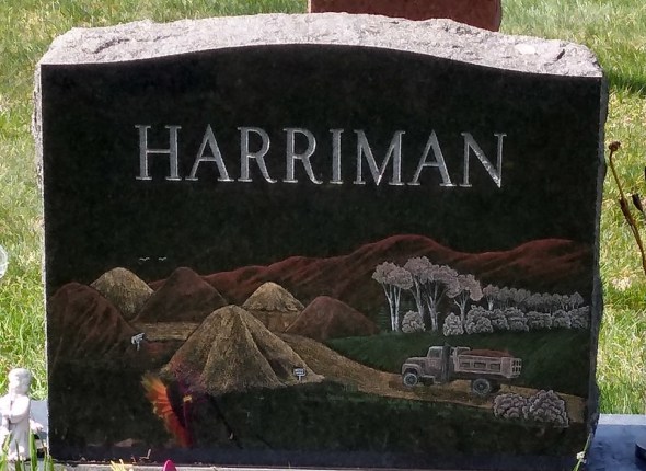 49847622466_00aa0598e1_c